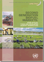 Second-generation biofuel markets: state of play, trade and Developing Country perspectives